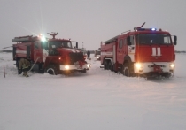 В соцсетях распространяется информация о том, что при крушении пассажирского Ан-148 в Московской области произошел взрыв