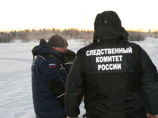Следователи СК РФ доложили о проведенных работах на месте крушения рейса 703 Москва-Орск