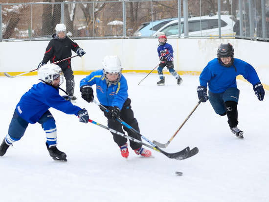 В Алматы 11 февраля на дворовом катке «Военторг» состоялся детский любительский чемпионат города по хоккею с шайбой Sport Concept Hockey Cup 2018
