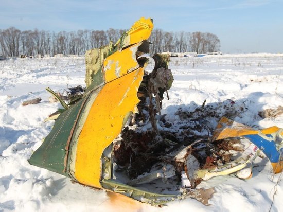 Минтруд: 29 погибших при крушении рейса Москва-Орск фактически находились на работе