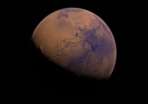 Исследователи, представляющие американское аэрокосмическое агентство NASA, рассказали, что в рамках миссии «Марс-2020» одноименный ровер доставит на Красную планету метеорит, в прошлом предположительно прилетевший именно с нее