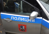 Смерть трехлетней девочки в детском саду в Новом Москве при весьма странных обстоятельствах расследуют столичный правоохранители