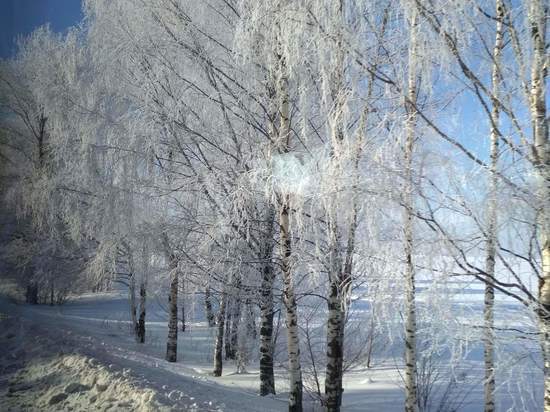 Морозы снова ждут в ЦФО: доберется ли холод до Костромы