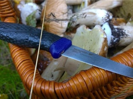 В Мордовии шесть лет колонии получил мужчина, убивший брата во время похода за грибами