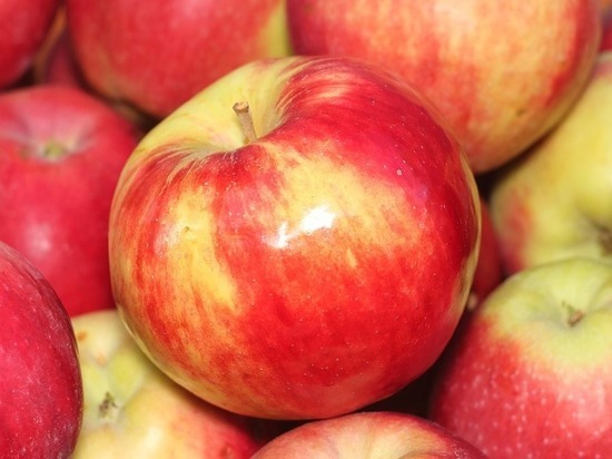 Курские таможенники задержали полторы тонны лишних яблок 