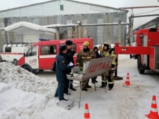 В Иванове в пожаре в цехе по производству подушек погибли люди