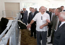 Россия приостановила импорт белорусской молочной продукции, сообщили в Россельхознадзоре