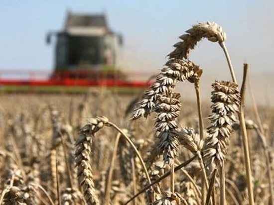 Мордовские аграрии в этом году получат более 3 млрд рублей господдержки