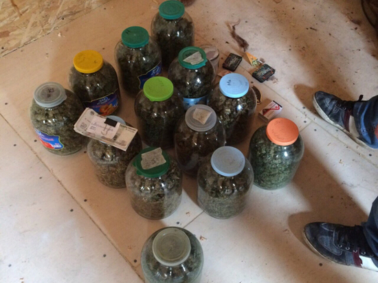 У жителя Феодосии нашли 13 трехлитровых банок  марихуаны