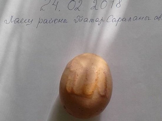 В Татарстане нашли яйцо с надписью на арабском «Аллах»