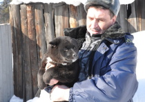 В Иркутске возрождается питомник восточносибирской лайки