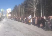 25 февраля около сотни жителей Краснолесья оставили домашние дела, даже финал Олимпийских игр по хоккею, и отправились к березовой роще