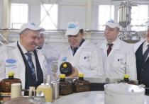 Новый завод по производству кваса в Кушвинском городском округе 26 февраля презентовали Евгению Куйвашеву, который принял участие в церемонии запуска производственной линии