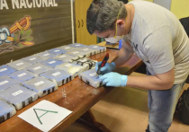 Более трех килограммов кокаина пытался вывези из Аргентины гражданин России