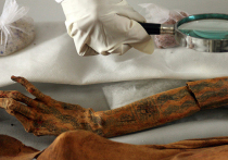 Искусство нанесения на кожу сложных татуировок зародилось в Африке, как минимум, на тысячелетие позже, чем предполагалось до сих пор