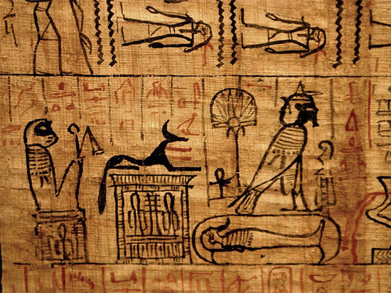 Найден двухтысячелетний папирус с увлекательной историей о спасении котенка  - МК
