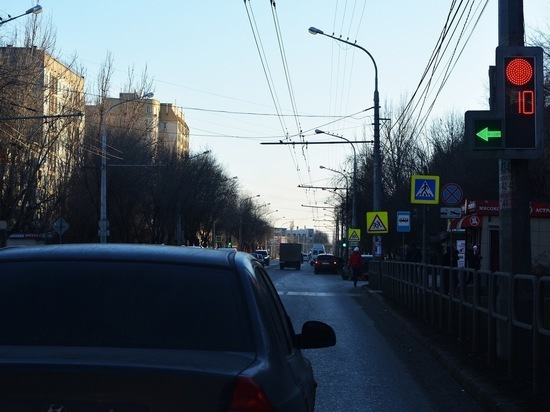 Астраханцы раскрыли секрет отдыха грачей на дорогах
