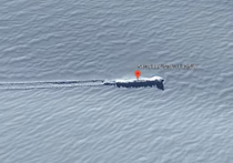 На Youtube-канале secureteam10 появился ролик, в котором сообщается об обнаружении на картах Google на Южных Сандвичевых островах возле Антарктиды странного сигарообразного объекта