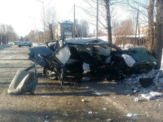 Водитель врезался в дерево в Нижнем Тагиле и погубил пассажира