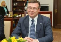 Украинская власть во главе с президентом Виктором Януковичем и Евросоюз не были готовы к выполнению Cоглашения об ассоциации в 2014 году