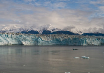 Новозеландские ученые, представляющие Университет Отаго, сообщили, что глобальное потепление и изменение климата в целом опаснее для подводных обитателей, чем принято считать