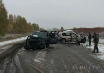 Уже более пяти месяцев идет разбирательство по делу об аварии на трассе Омск-Седельниково, в которой пострадали три человека