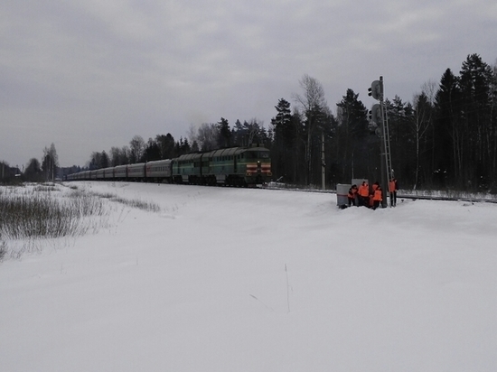 В Тверской области водитель столкнул с рельсов поезд