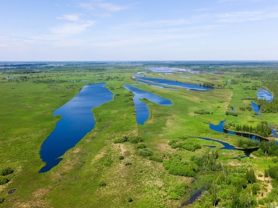 Крупнейшее в мире Васюганское болото стало заповедником