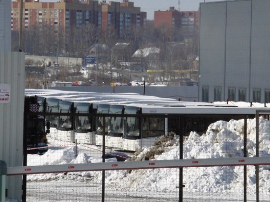 В Самару прибыли 50 новых автобусов «МАЗ»