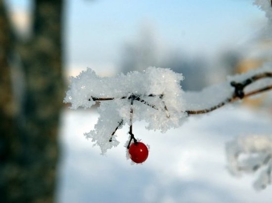 В Мордовии 13 марта осадков не ожидается, но будет морозно – до минус 20 градусов