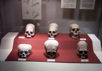Немецкий антрополог Иоахим Бюргер, представляющий Университет Гутенберга, предложил свою версию происхождения необычных вытянутых черепов, которые с середины прошлого века находят в Баварии