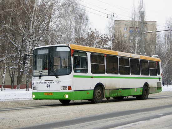 В день выборов тамбовчан бесплатно будут возить 50 автобусов
