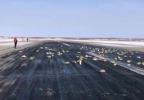 Взлетно-посадочная полоса якутского аэродрома, усыпанная разлетевшимися из самолета золотыми слитками,  стала «гвоздем» новостных программ