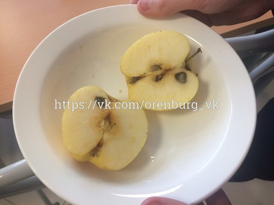 Соцсети: в Оренбурге школьников кормят яблоками с плесенью