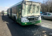 Дети, попавшие в субботу в ДТП на Киевском шоссе, отделались ушибами и на следующий день уже были выписаны из больниц
