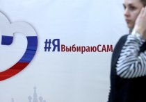 Выборы в Москве прошли без выявленных серьезных нарушений, заявили в Общественном штабе по наблюдению за выборами