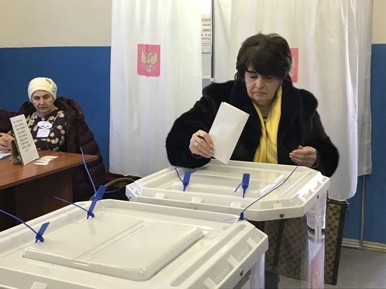 Главврач медицинского центра Аваева голосовала в деревне под Тверью