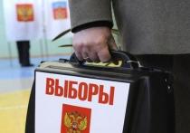 В регионе подведены предварительные итоги выборов Президента РФ