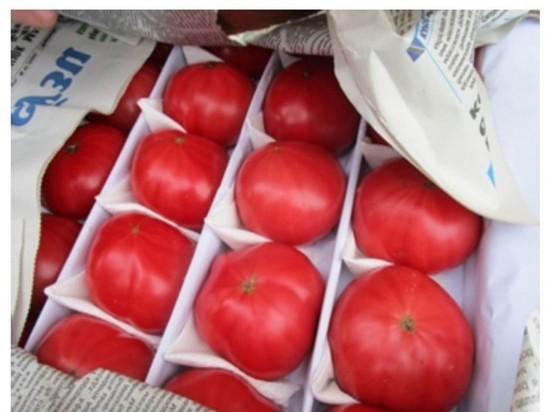 На границе Оренбуржья задержаны тонны иранских яблок и китайского чеснока без сертификатов