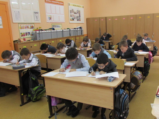Тамбовские школьники напишут Всероссийские проверочные работы