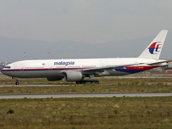 Виновных в гибели MH17 будут судить в окружном суде Гааги Виновных в гибели MH17 будут судить в окружном суде Гааги