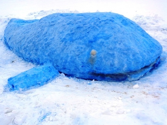 Огромного синего кита сделали калужские заключенные из снега
