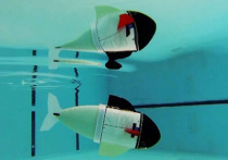 Группа исследователей, представляющих Массачусетский технологический институт, представила робота, который как внешне, так и своими движениями напоминает рыбу
