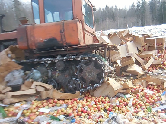 На мусорном полигоне в Тверской области раздавили 60 тонн яблок