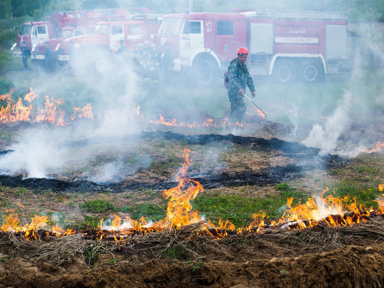 В пожароопасный период за тамбовскими лесами будет следить авиация