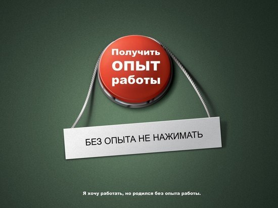 Диплом на полке: в Оренбуржье в 2018 году признают безработными 1,4 тысячи молодых специалистов 