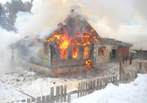 Дочь и мать заживо сгорели в огне 27 марта в деревне Дор Шаховского района Московской области