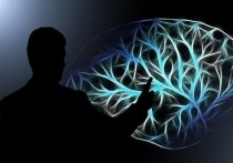 Улучшение памяти человека путем вживления в его мозг разработанного с этой целью чипа звучит как потенциальная завязка научно-фантастического произведения