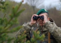 Госпогранслужба Украины зафиксировала в Донецкой области «признаки использования российскими наемниками запрещенного лазерного оружия специального назначения»