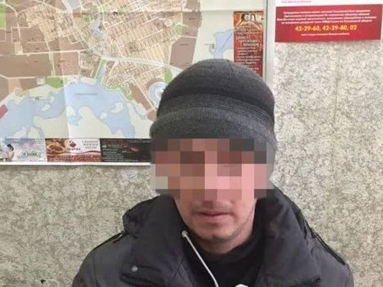 В Димитровграде поймали бомжа, напавшего на 12-летнюю девочку 